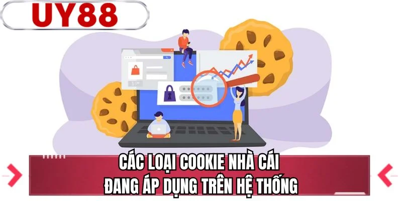 Các loại cookie nhà cái đang áp dụng trên hệ thống