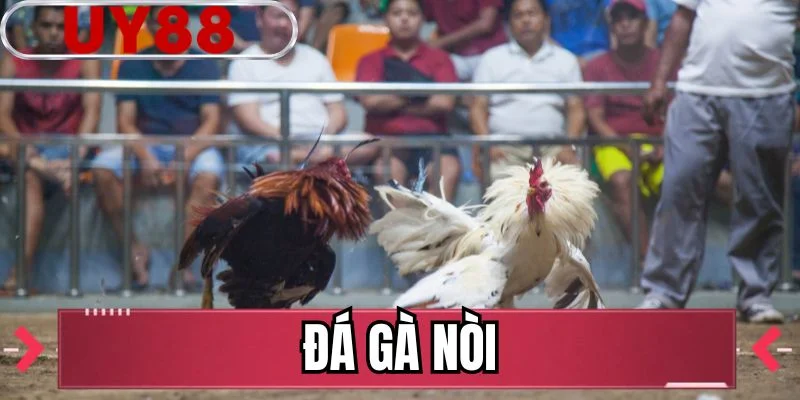 Đá Gà Nòi