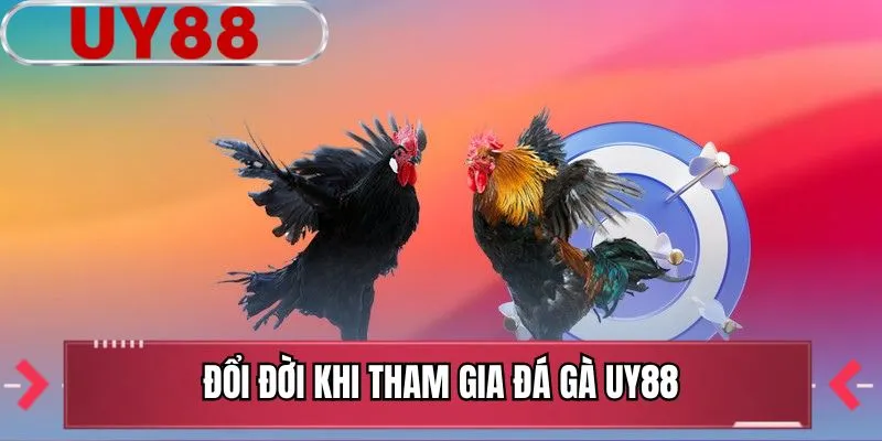 Đổi đời khi tham gia đá gà UY88