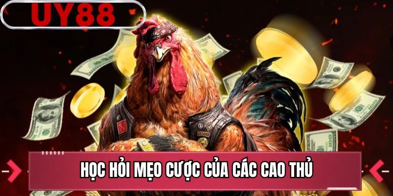 Học hỏi mẹo cược của các cao thủ