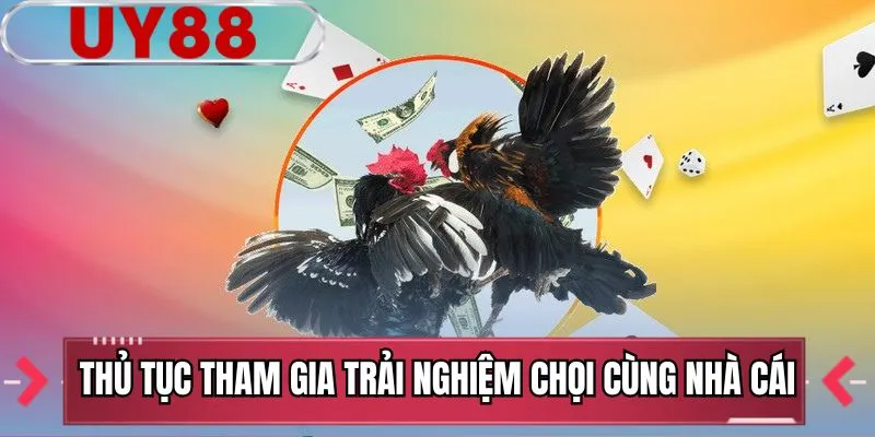 Thủ tục tham gia trải nghiệm chọi cùng nhà cái